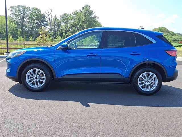 2020 Ford Escape SE photo 4