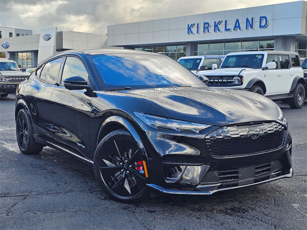 2025 Ford Mustang Mach-E GT AWD's photo