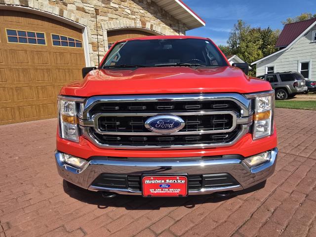 2023 Ford F-150 XLT photo 8