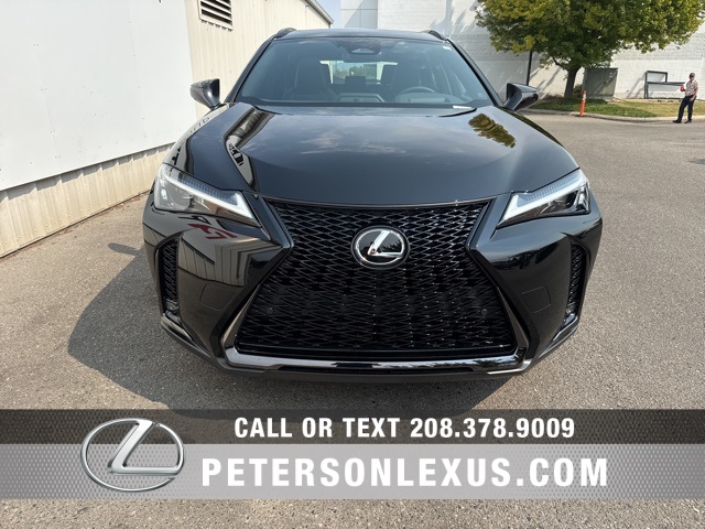 2025 Lexus UX F SPORT Design photo 9