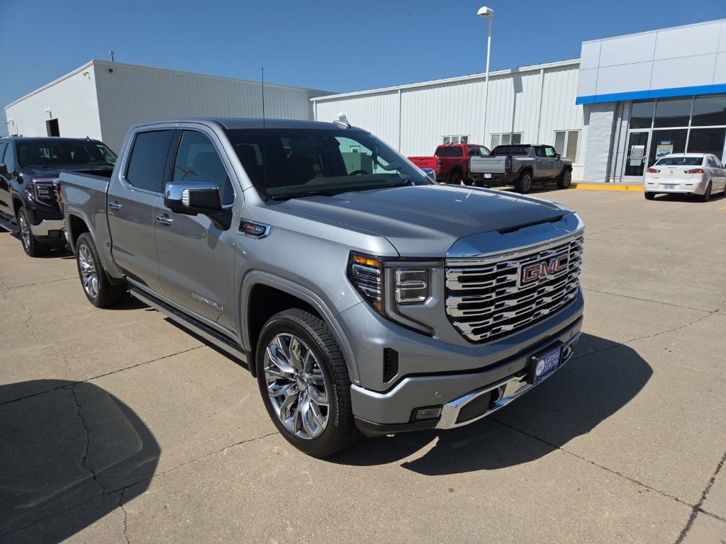 2025 Gmc Sierra 1500 Denali photo 3