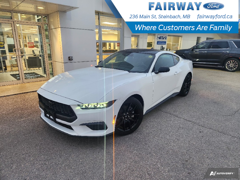 New 2024 Oxford White Ford EcoBoost image 1