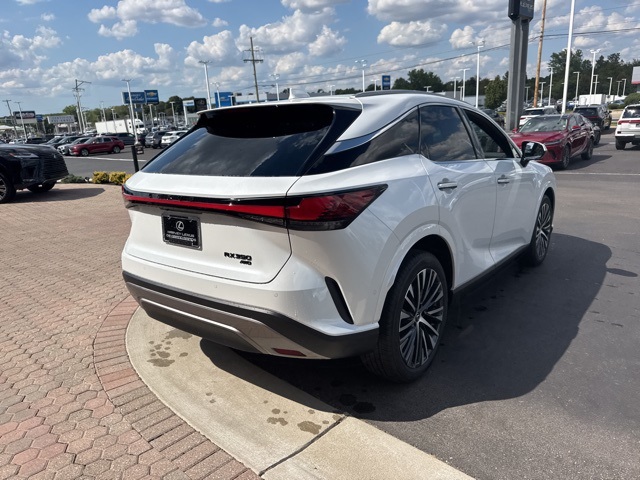 2025 Lexus RX 350 Premium photo 10