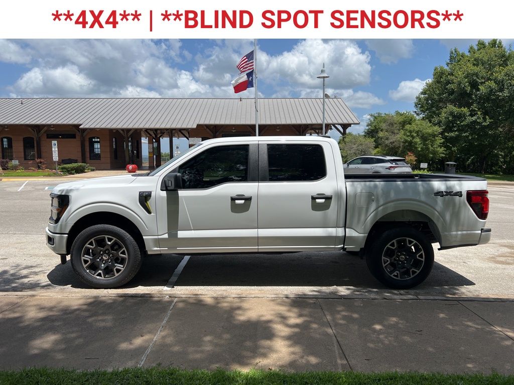 2025 Ford F-150 STX photo 5