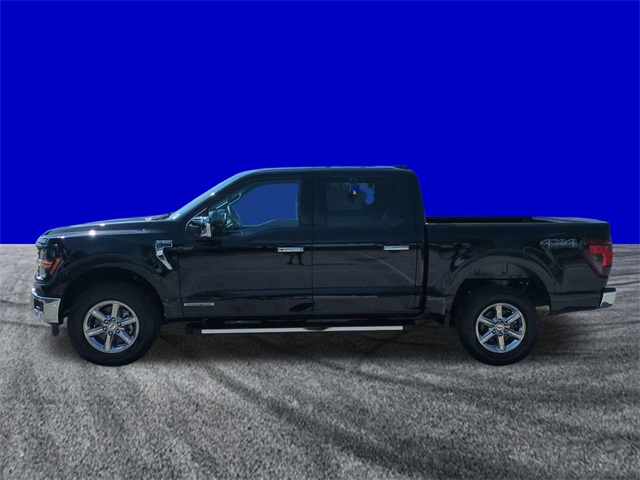2025 Ford F-150 XLT photo 7