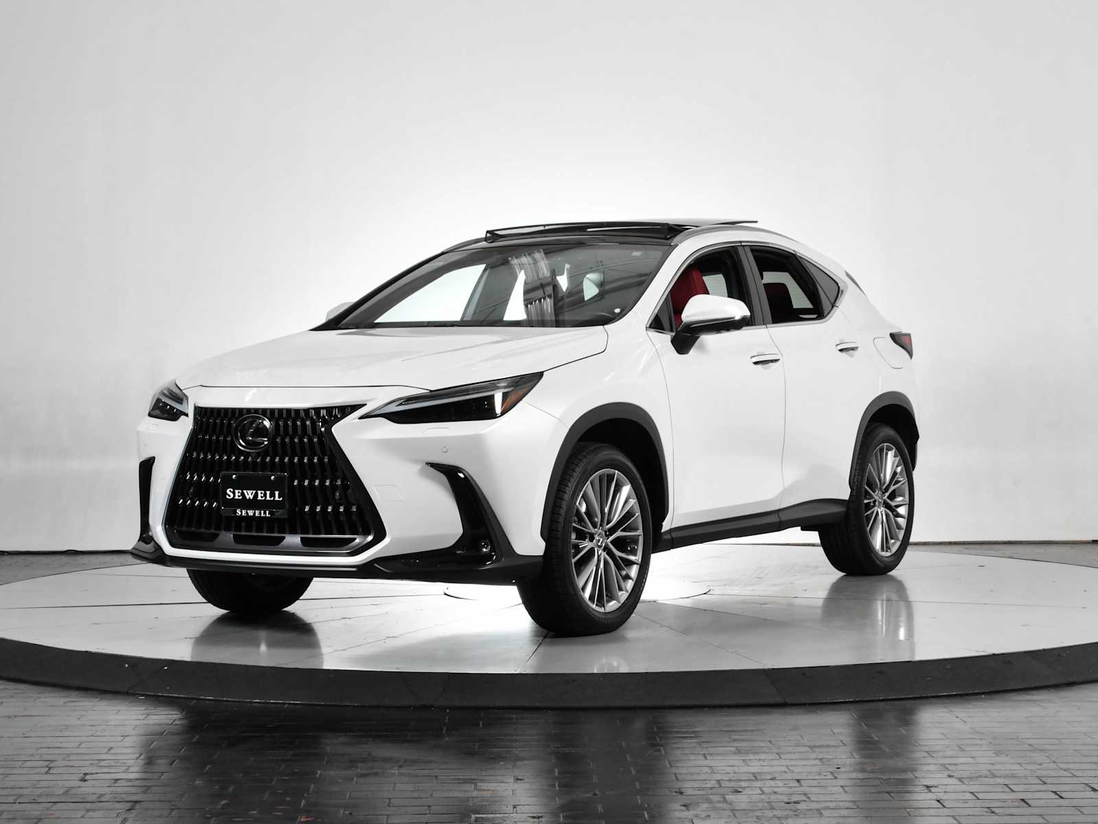 2022 Lexus NX 350's photo