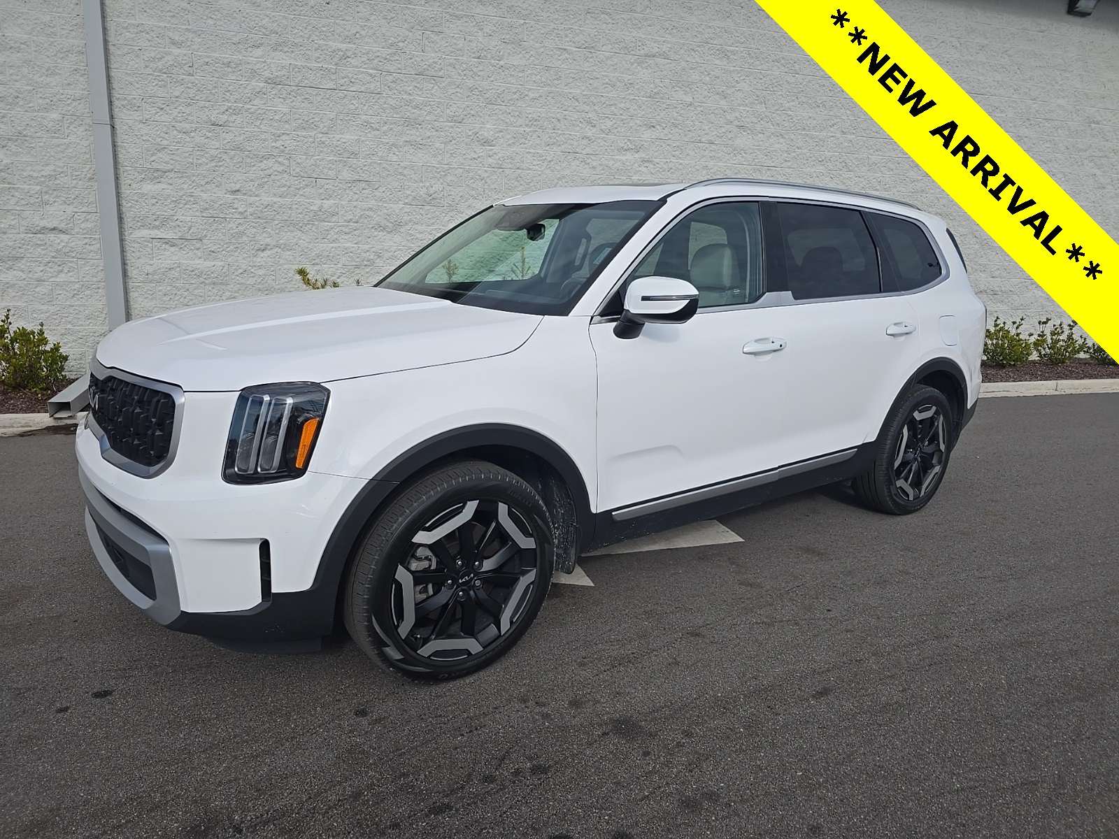 2024 Kia Telluride EX's photo