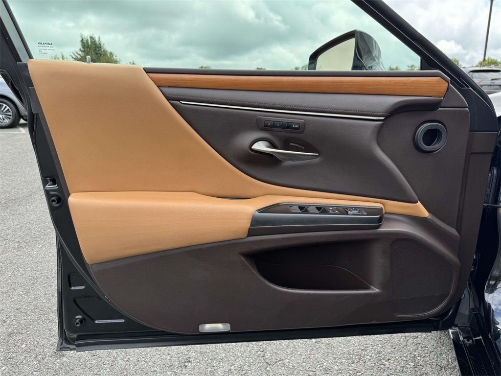2019 Lexus ES 300h photo 23