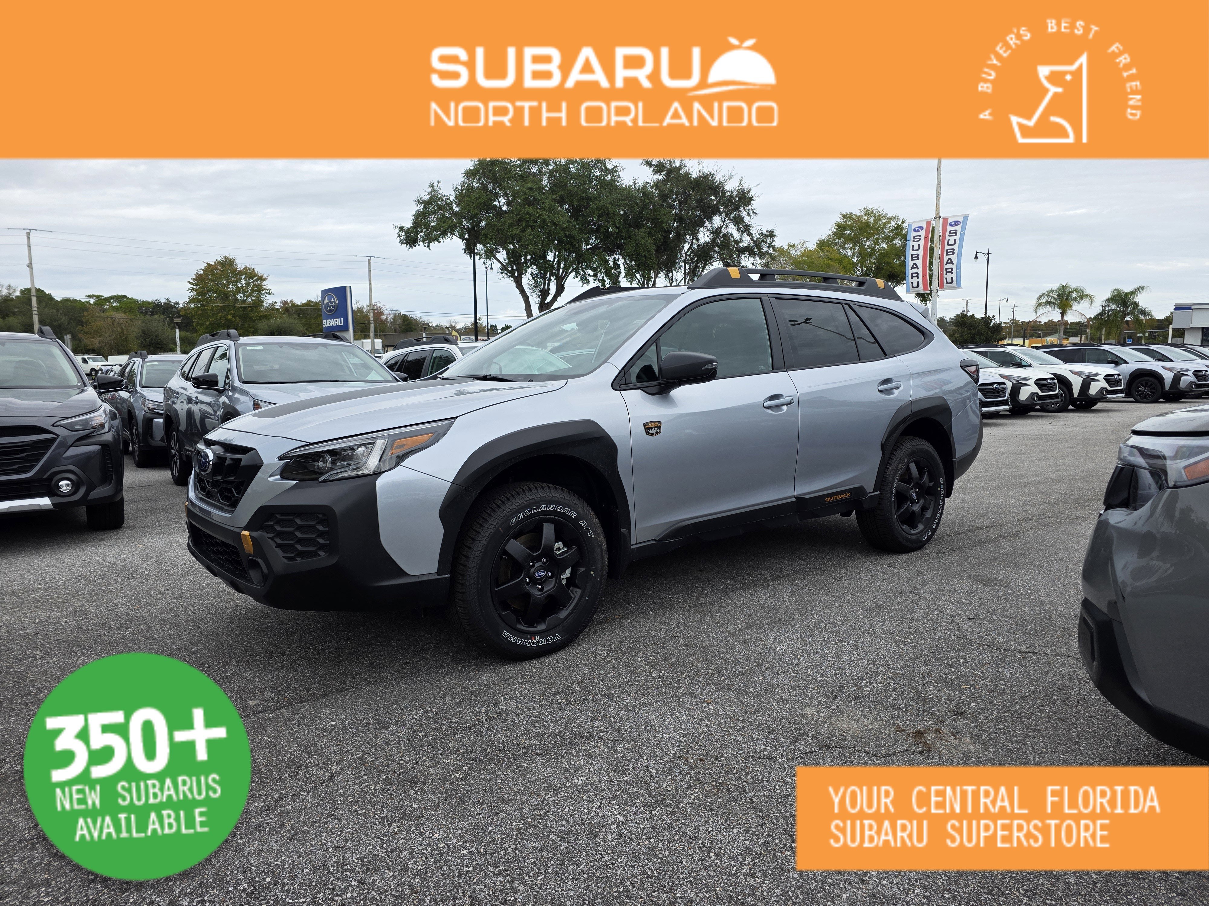 2025 Subaru Outback Wilderness's photo