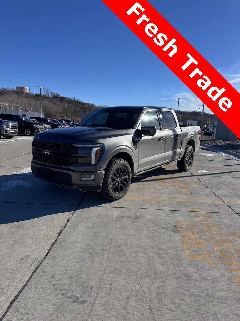 2024 Ford F-150 Platinum's photo