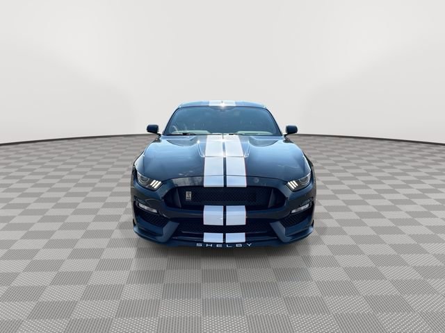 2019 Ford Mustang Shelby GT350 photo 3