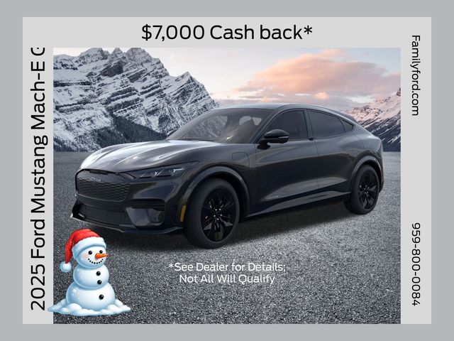 2025 Ford Mustang Mach-E GT AWD's photo