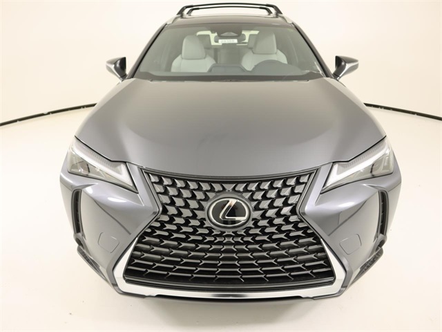 2025 Lexus UX photo 7