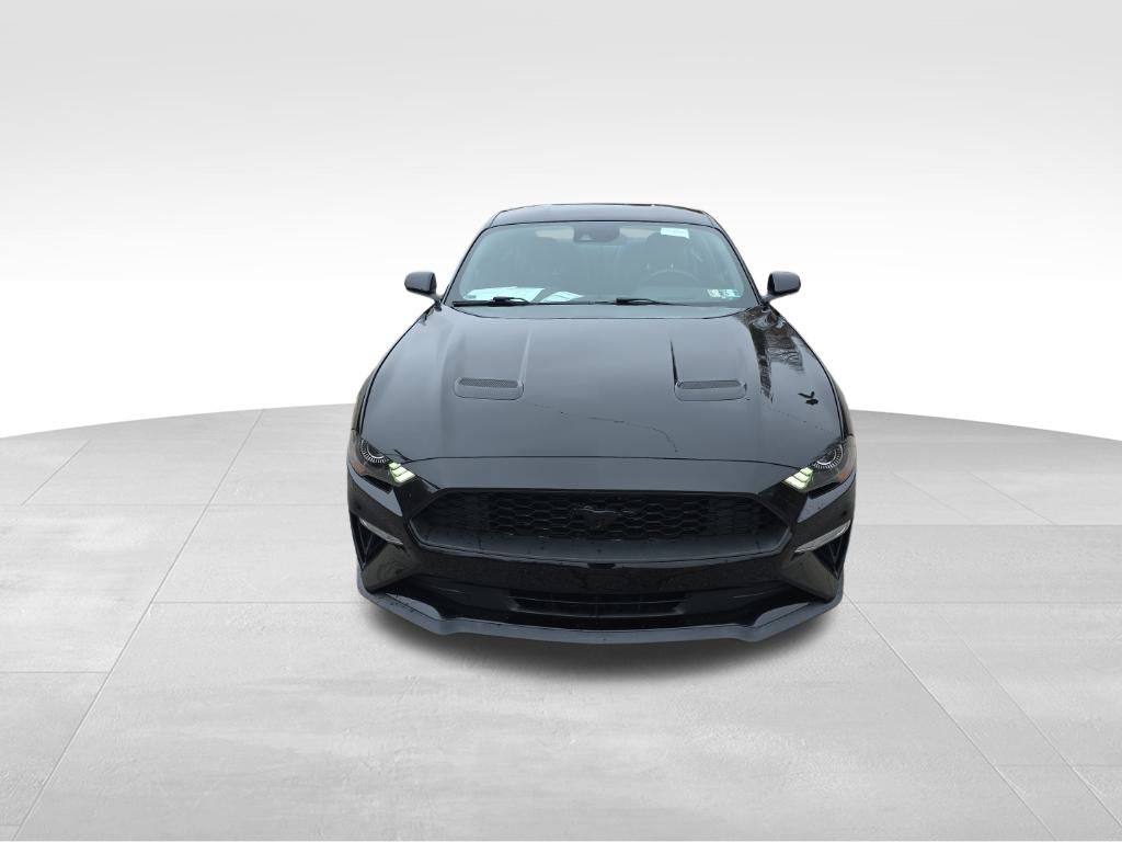 2019 Ford Mustang EcoBoost photo 2