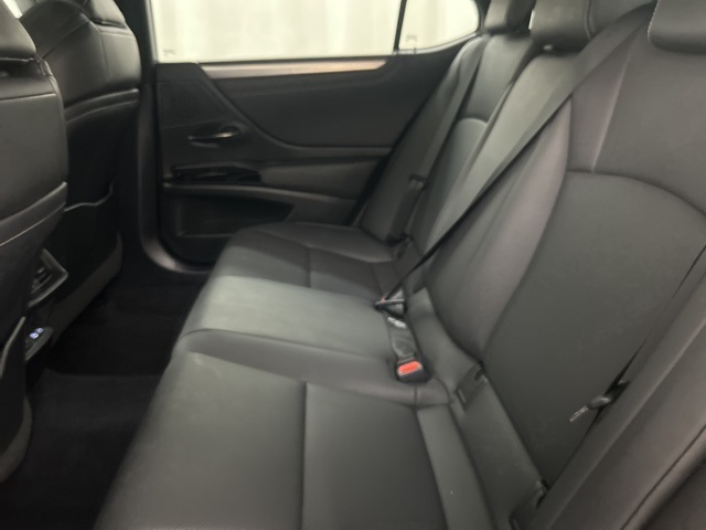 2022 Lexus ES 350 F SPORT photo 25