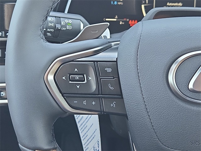2025 Lexus RX 350 Premium photo 18