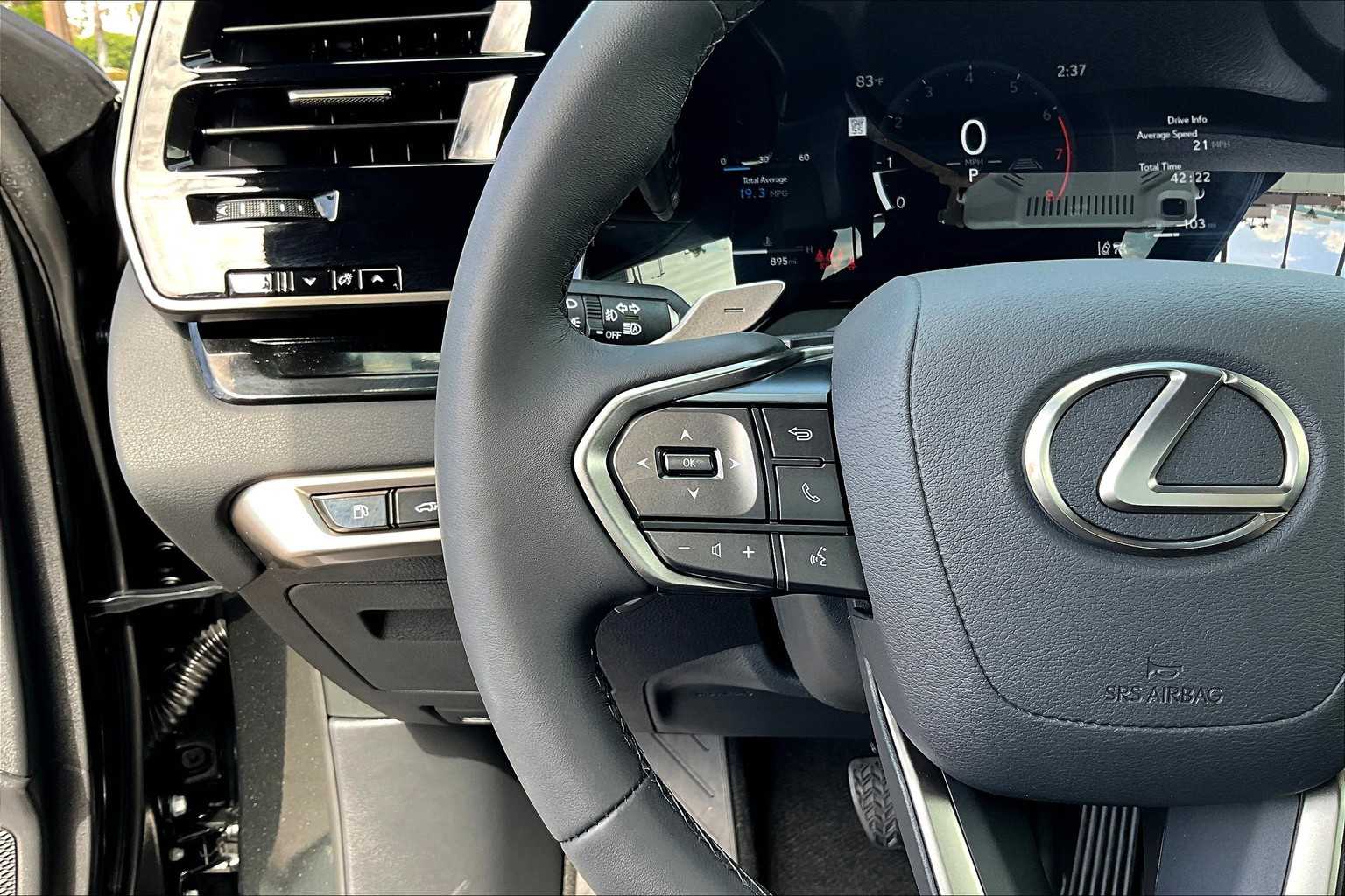 2025 Lexus RX 350 photo 21