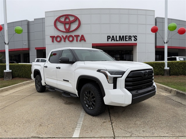 2025 Toyota Tundra SR5's photo