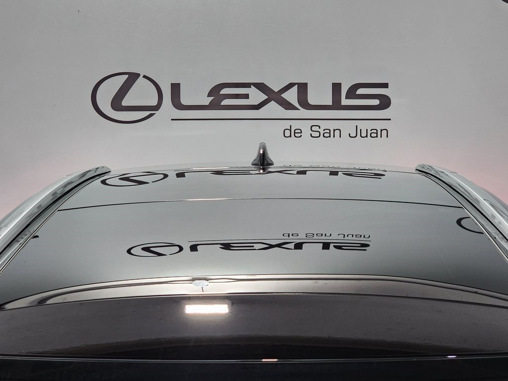 2025 Lexus RX 450h+ Luxury photo 7