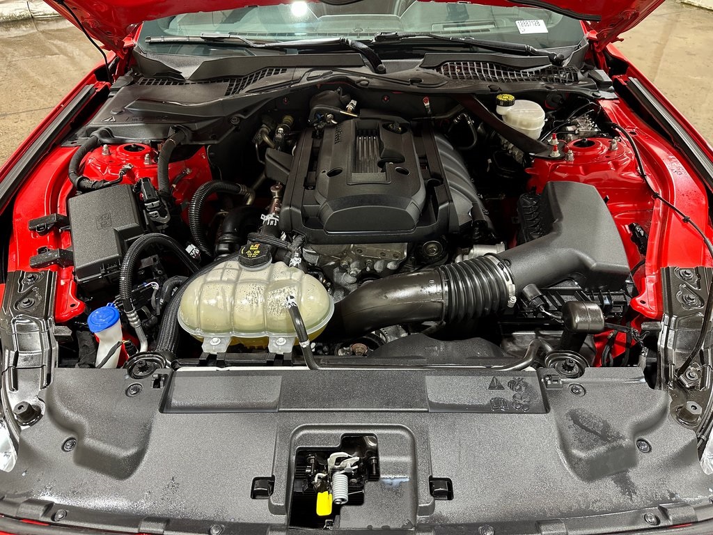 2020 Ford Mustang EcoBoost Premium photo 16