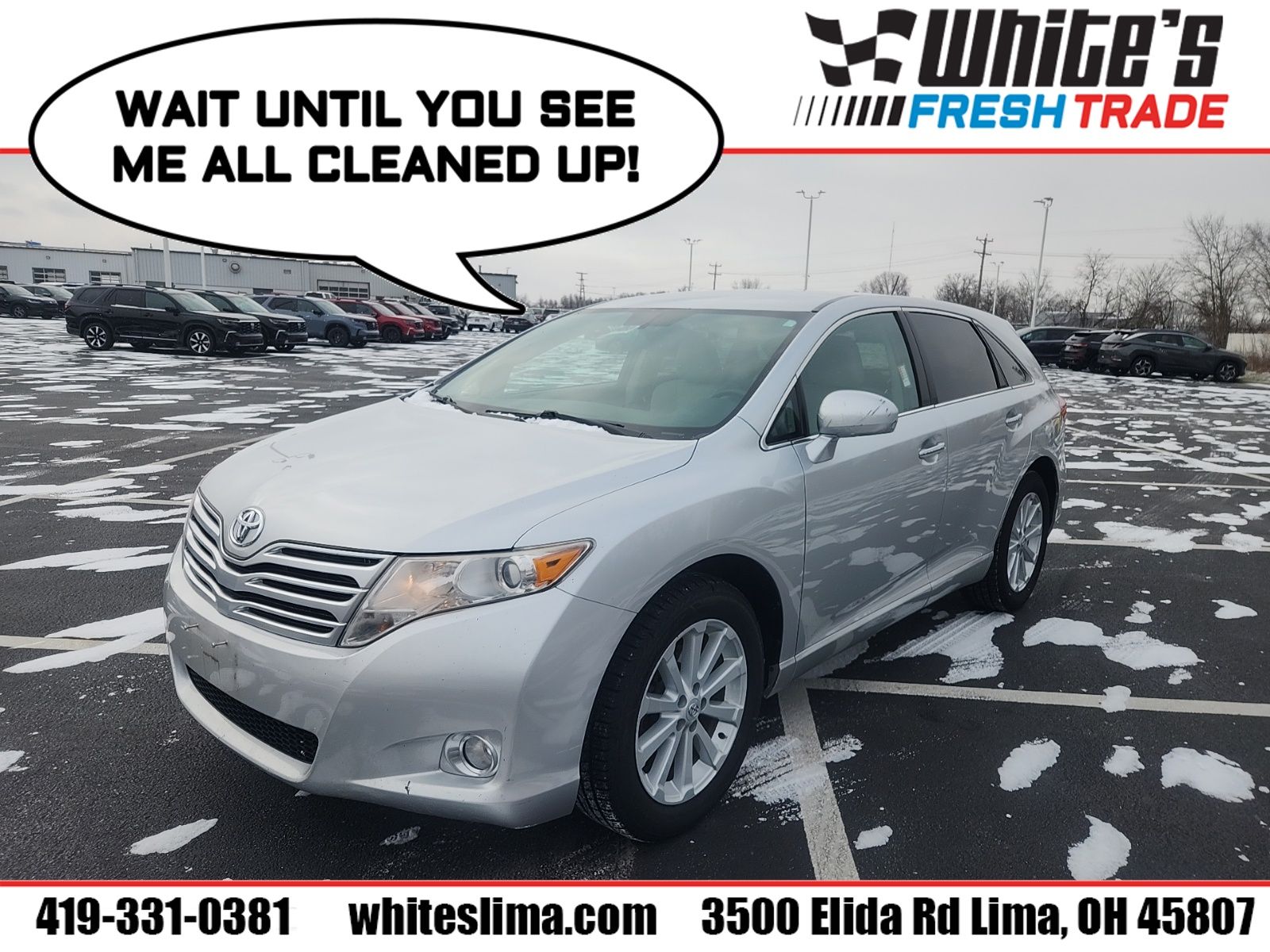 2010 Toyota Venza Base's photo