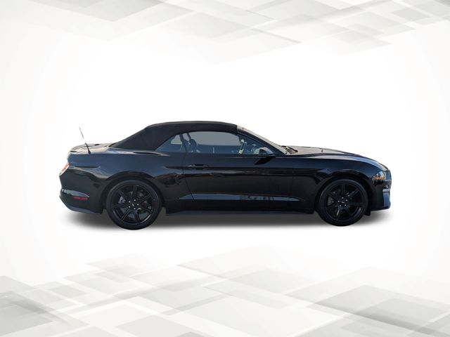 2019 Ford Mustang EcoBoost Premium photo 3