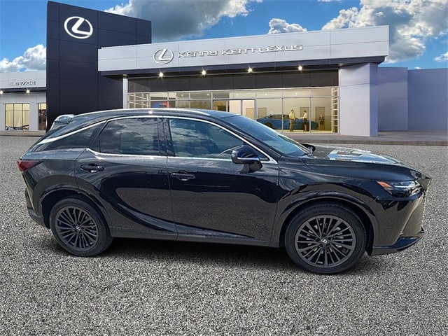 2025 Lexus RX 350 Premium photo 2