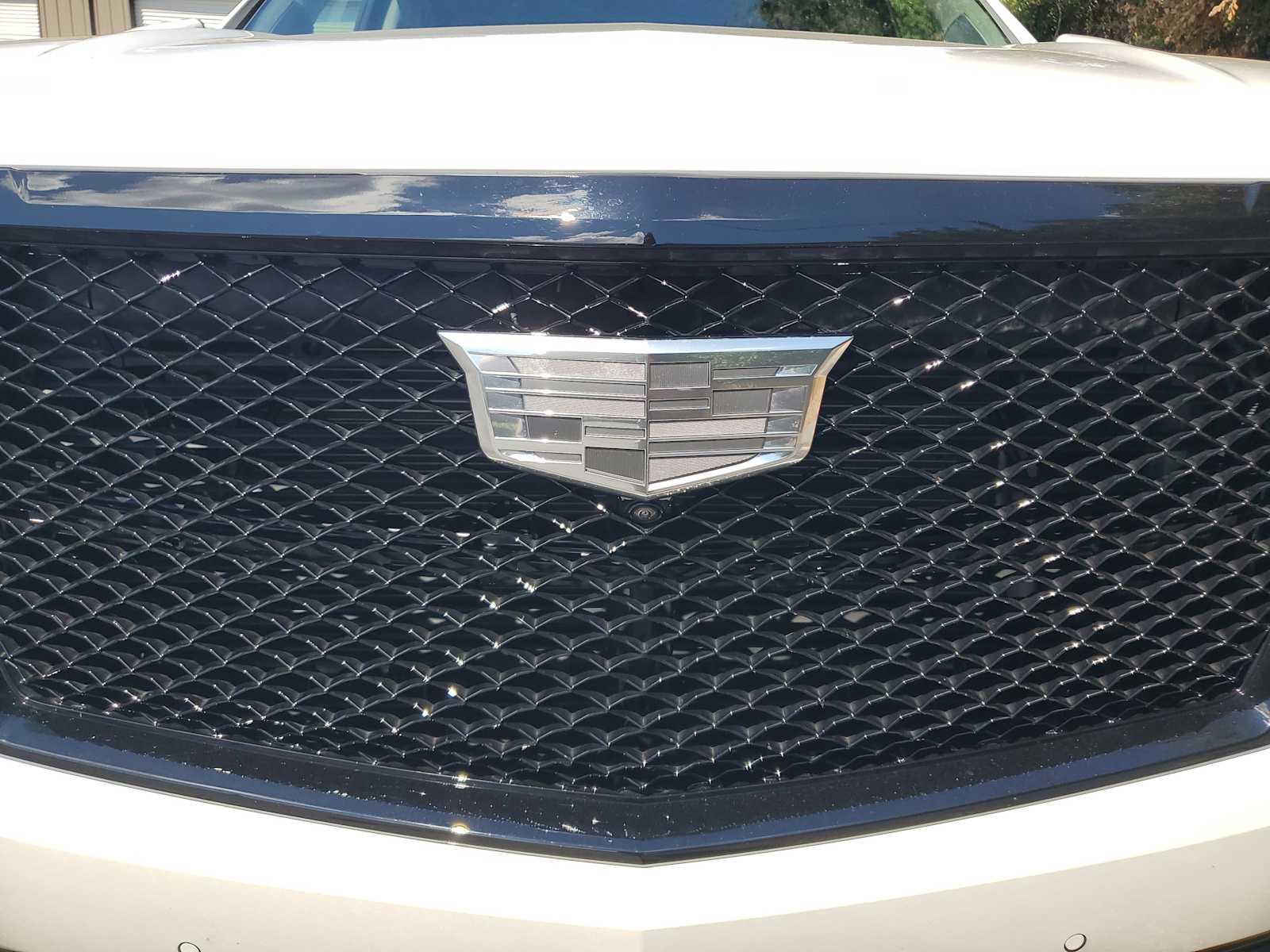 2024 Cadillac Escalade Sport Platinum photo 2