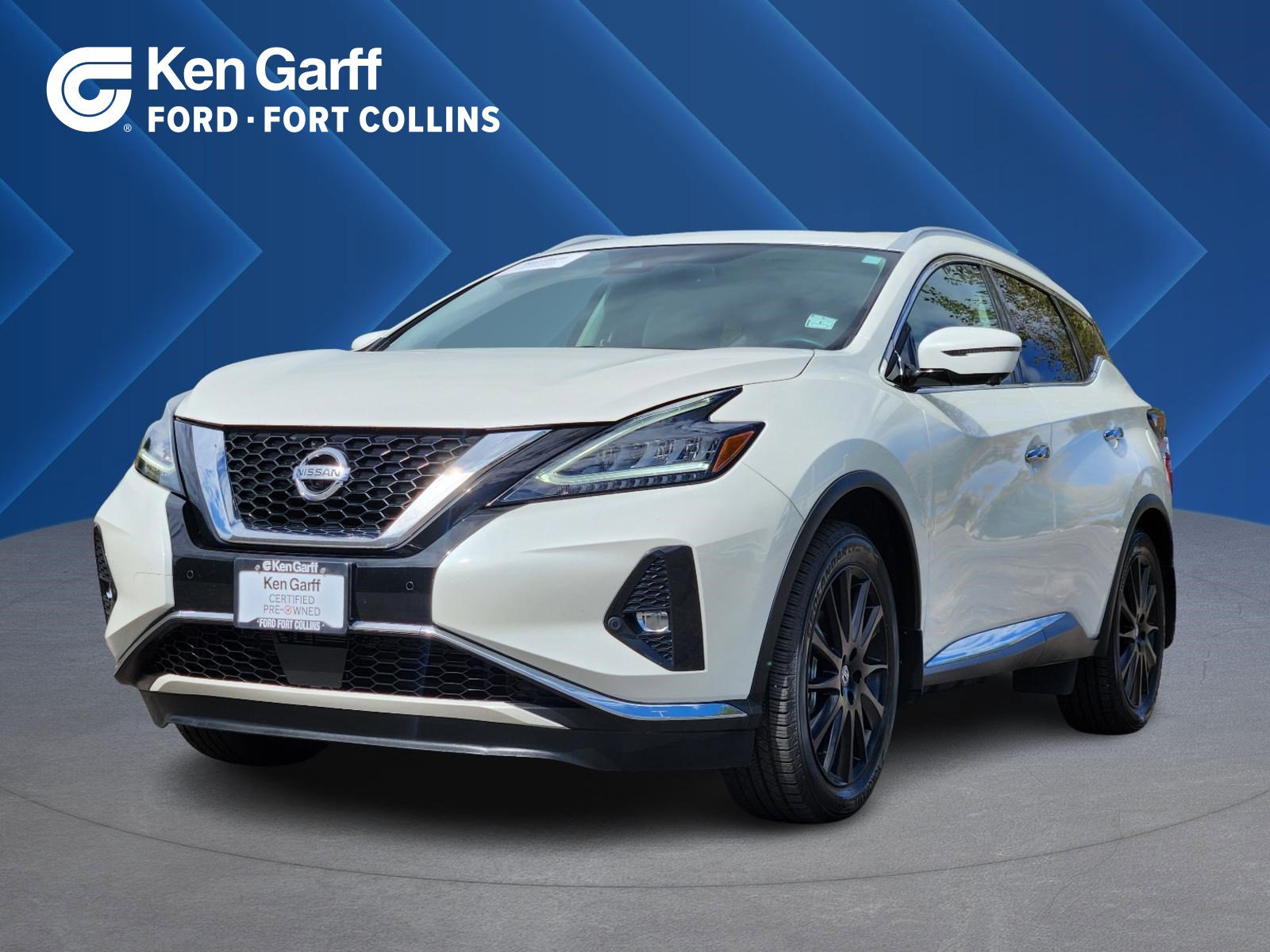 2022 Nissan Murano Platinum photo 2