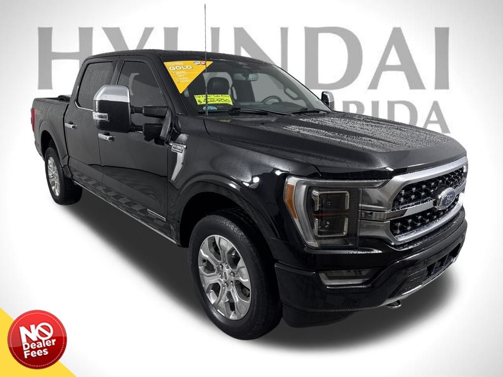 2022 Ford F-150 Platinum's photo