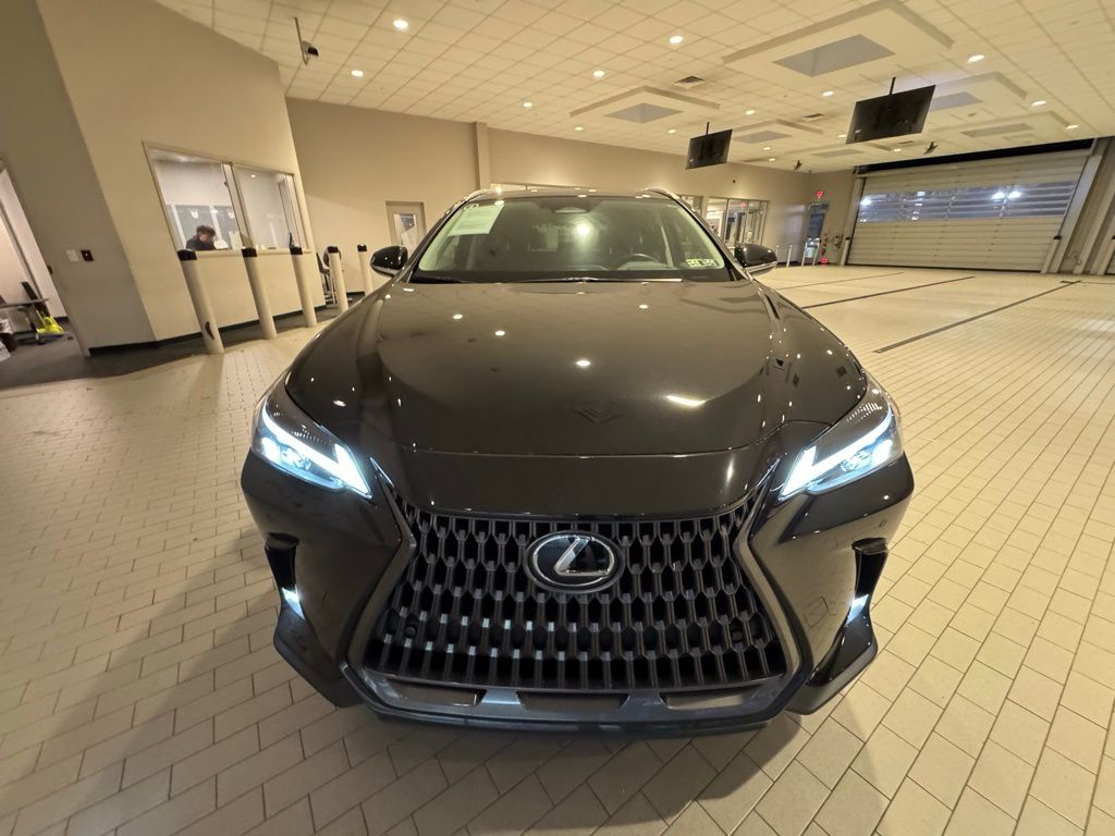 2024 Lexus NX 350h Premium photo 4