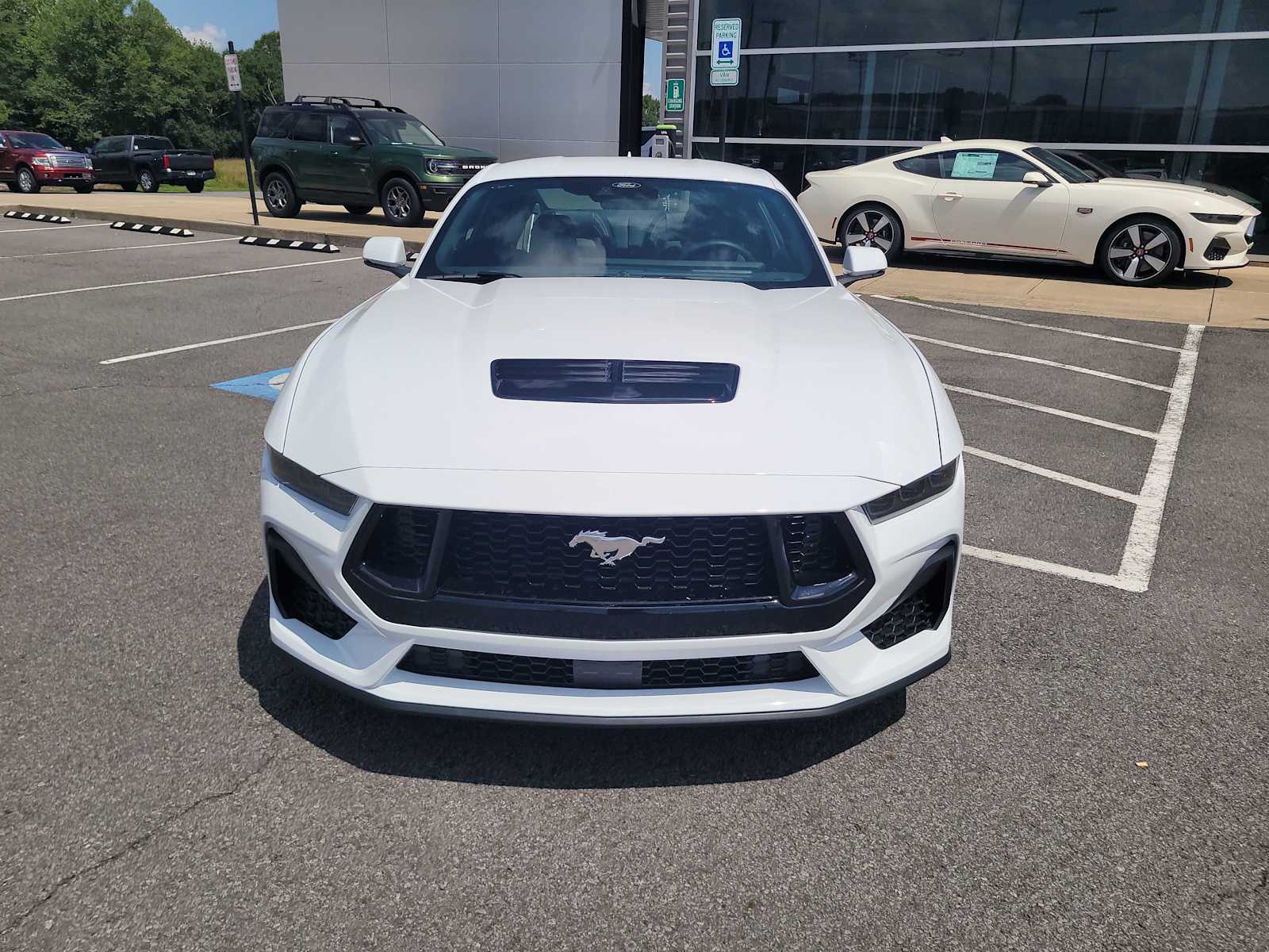 2025 Ford Mustang GT Premium photo 8