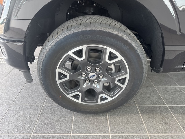 2025 Ford F-150 STX photo 8