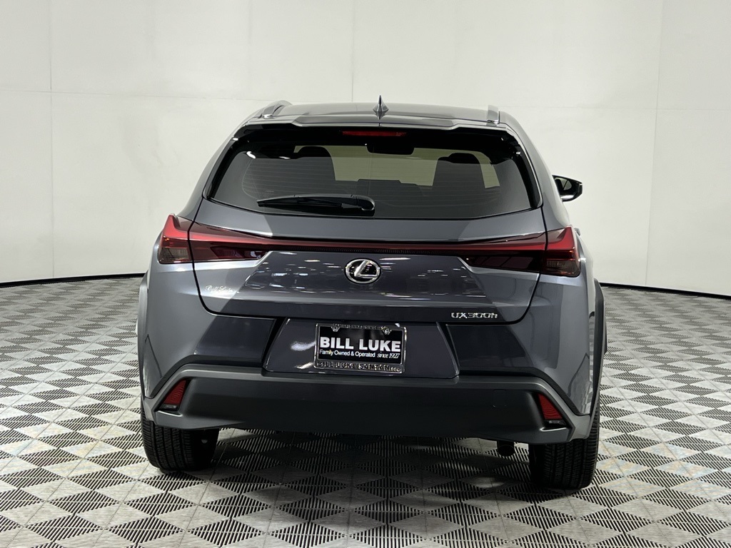 2025 Lexus UX F SPORT Design photo 5