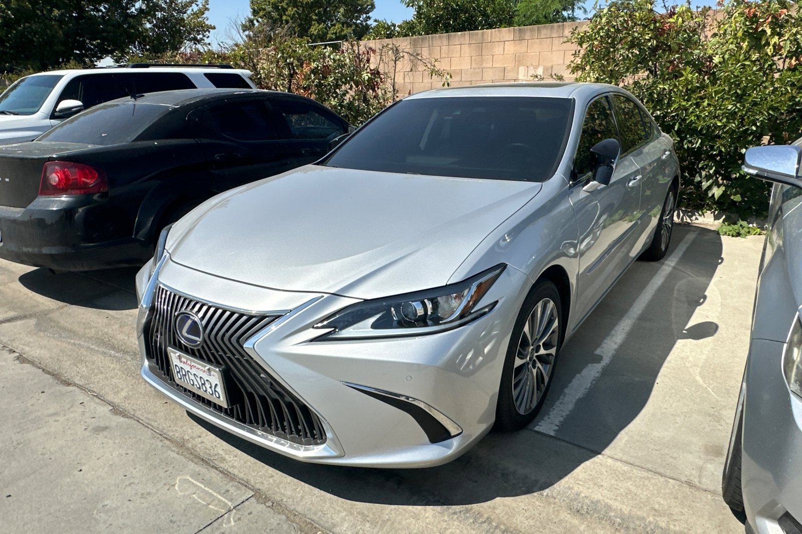 2020 Lexus ES 300h photo 2