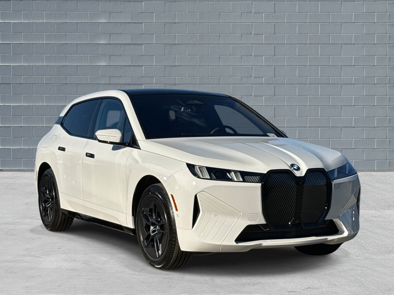 2026 BMW iX Base's photo