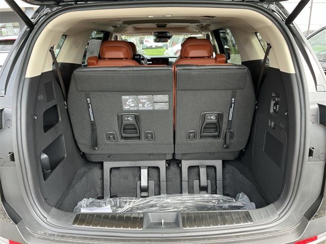 2025 Kia Carnival SX Prestige photo 4