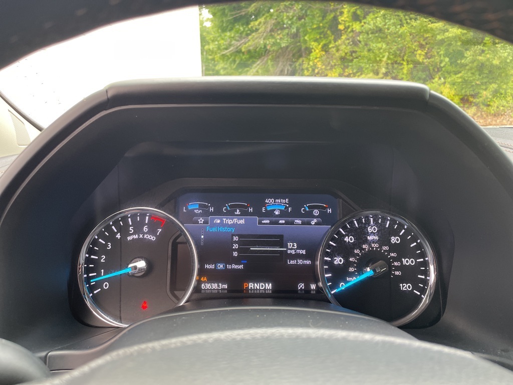 2020 Ford Expedition Platinum photo 13