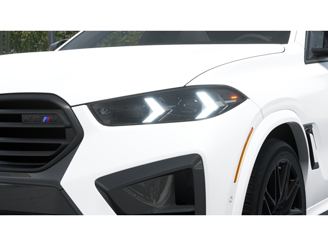 2025 Bmw X6 M50i photo 6