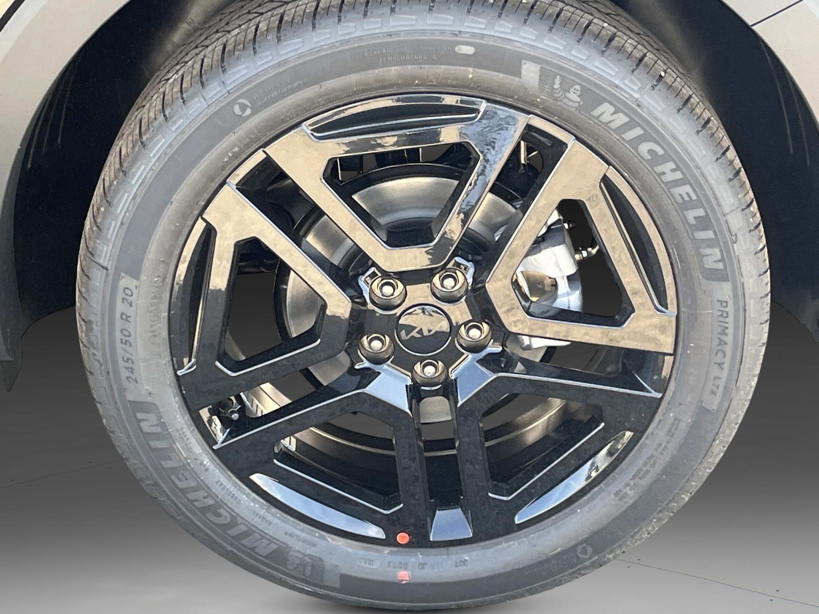 2025 Kia Telluride SX Prestige X-Line photo 10