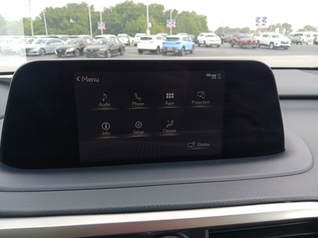 2020 Lexus RX 350 photo 18