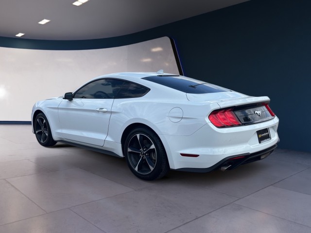 2023 Ford Mustang EcoBoost photo 3