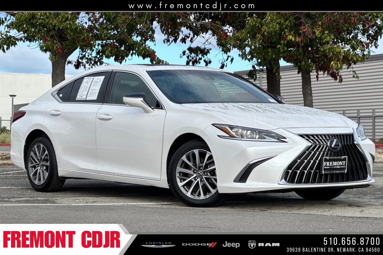 2022 Lexus ES 250's photo