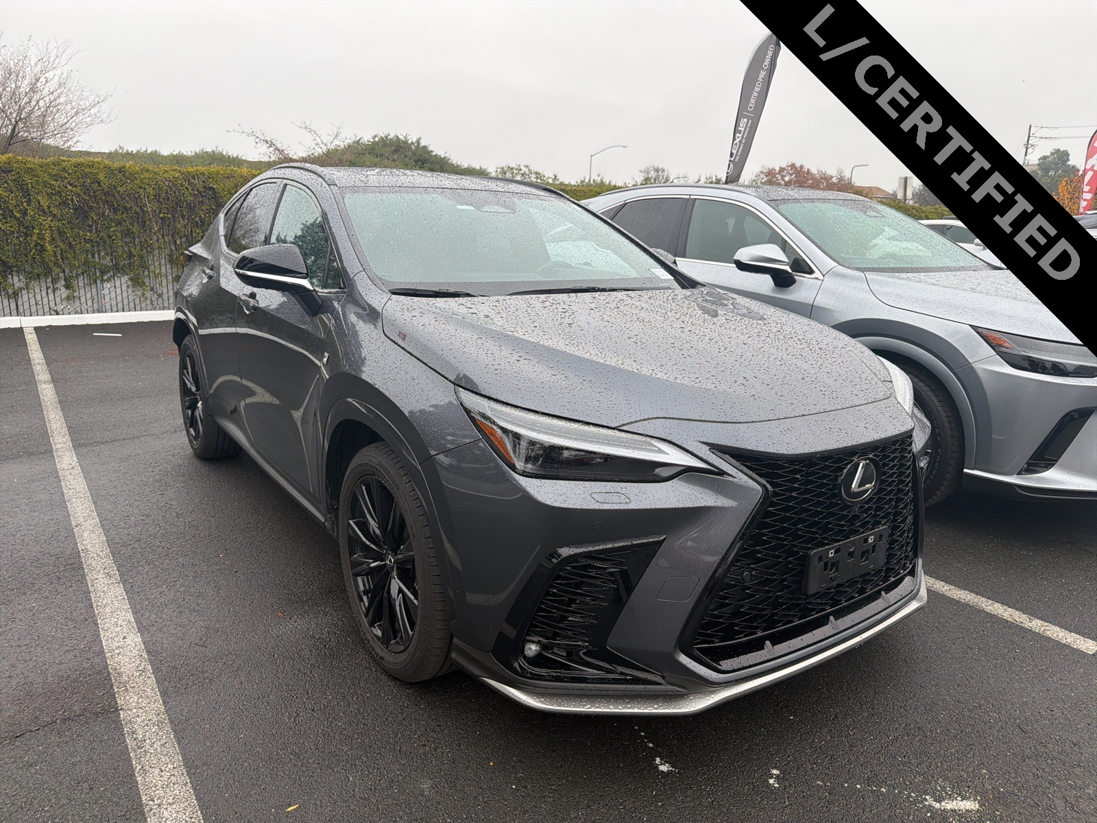 2024 Lexus NX PHEV 450h+'s photo