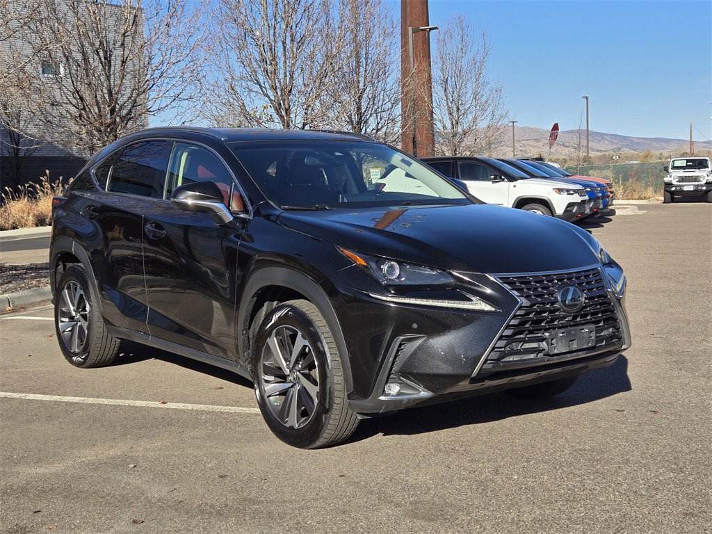 2019 Lexus NX 300 Luxury photo 2