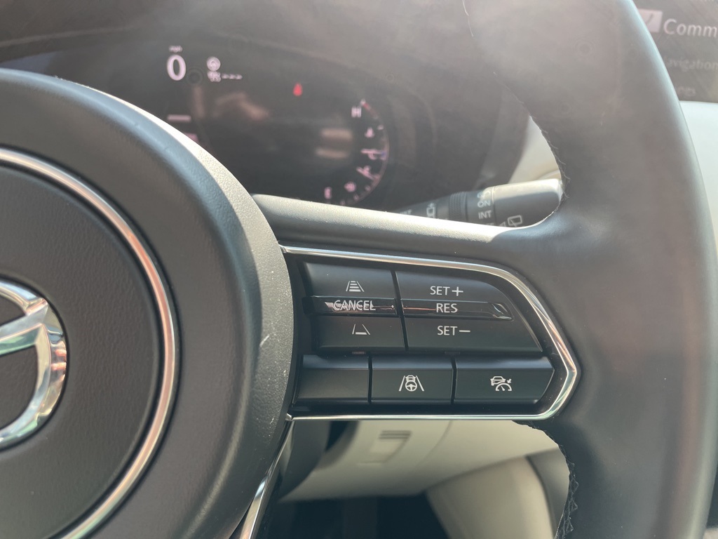 2025 Mazda CX-90 3.3 Turbo Premium Plus photo 15