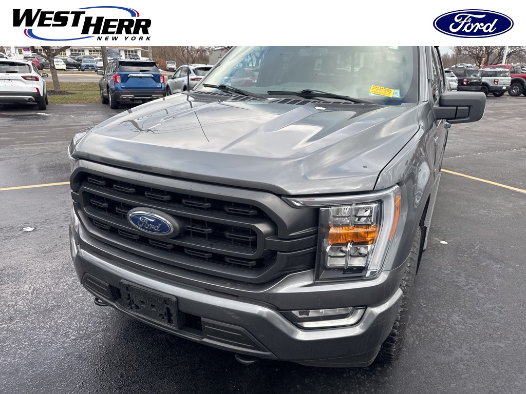 2023 Ford F-150 XLT's photo