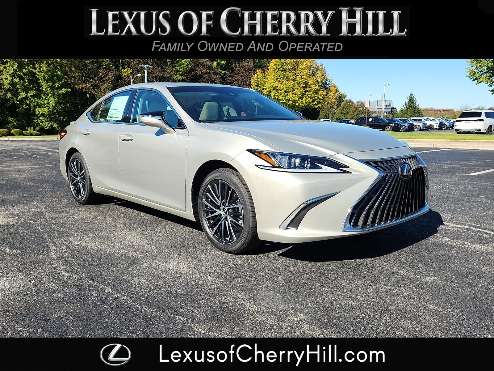 2025 Lexus ES Hybrid 300h's photo