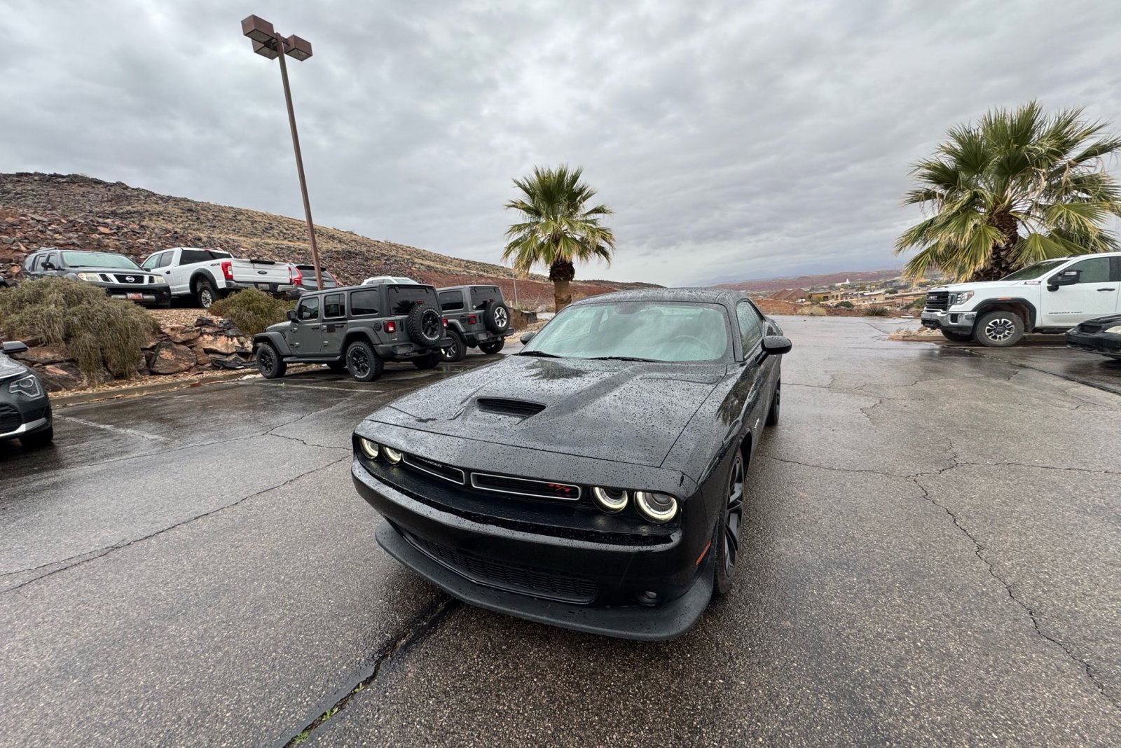 2022 Dodge Challenger R/T's photo