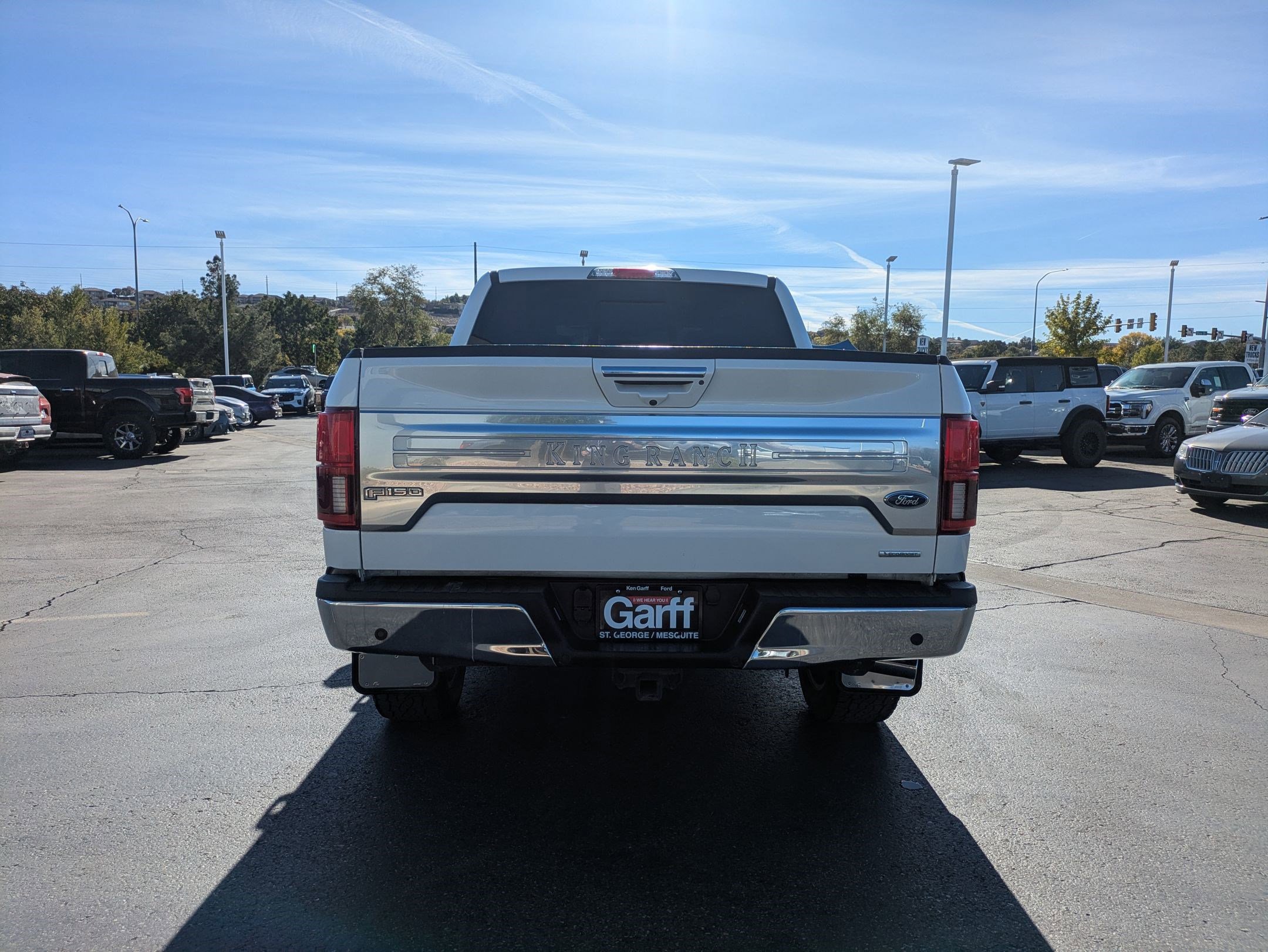 2020 Ford F-150 King Ranch photo 4